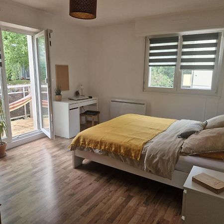 Robertsau Tres Bel Appartement Strasbourg Kültér fotó