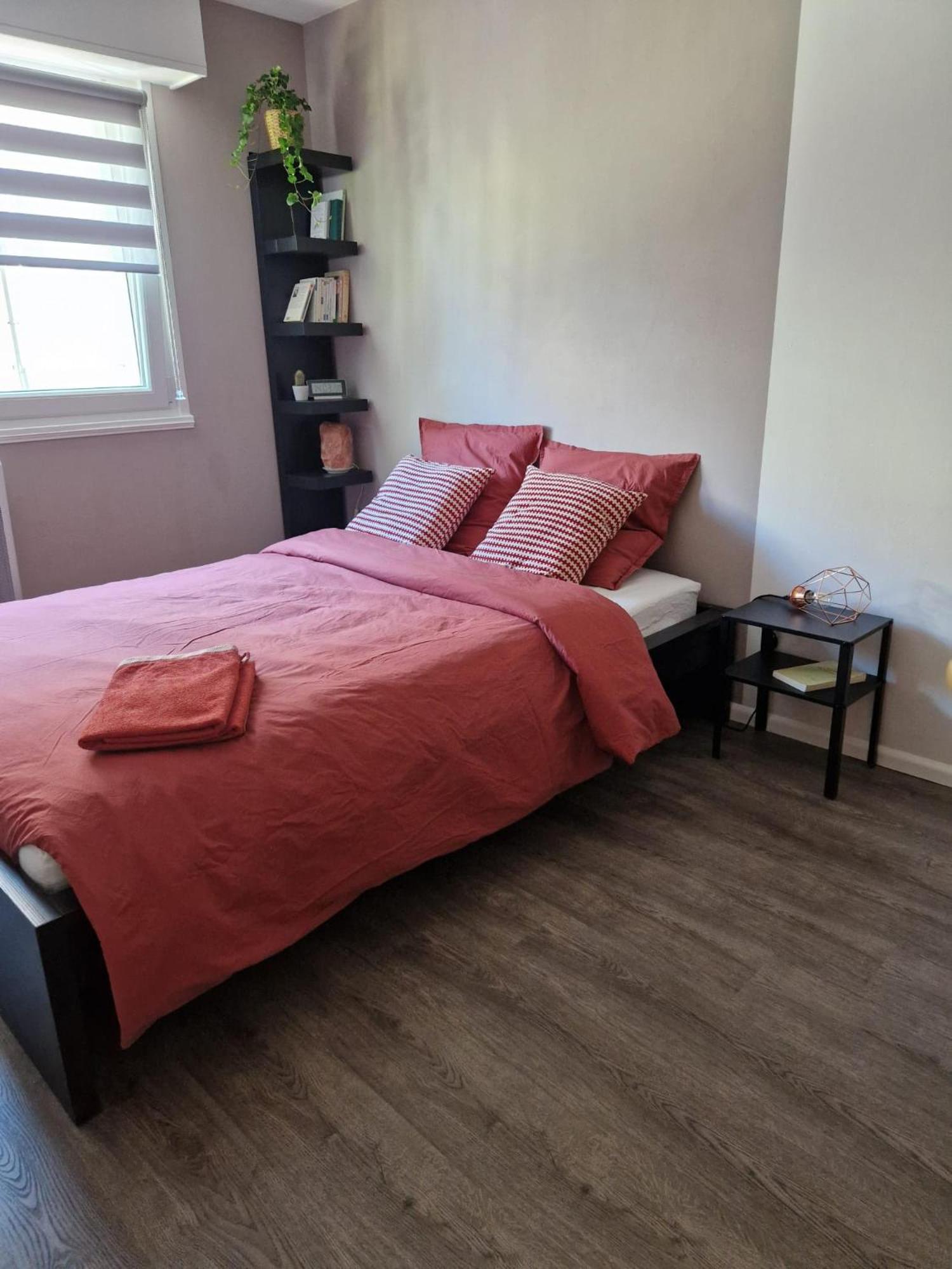 Robertsau Tres Bel Appartement Strasbourg Kültér fotó