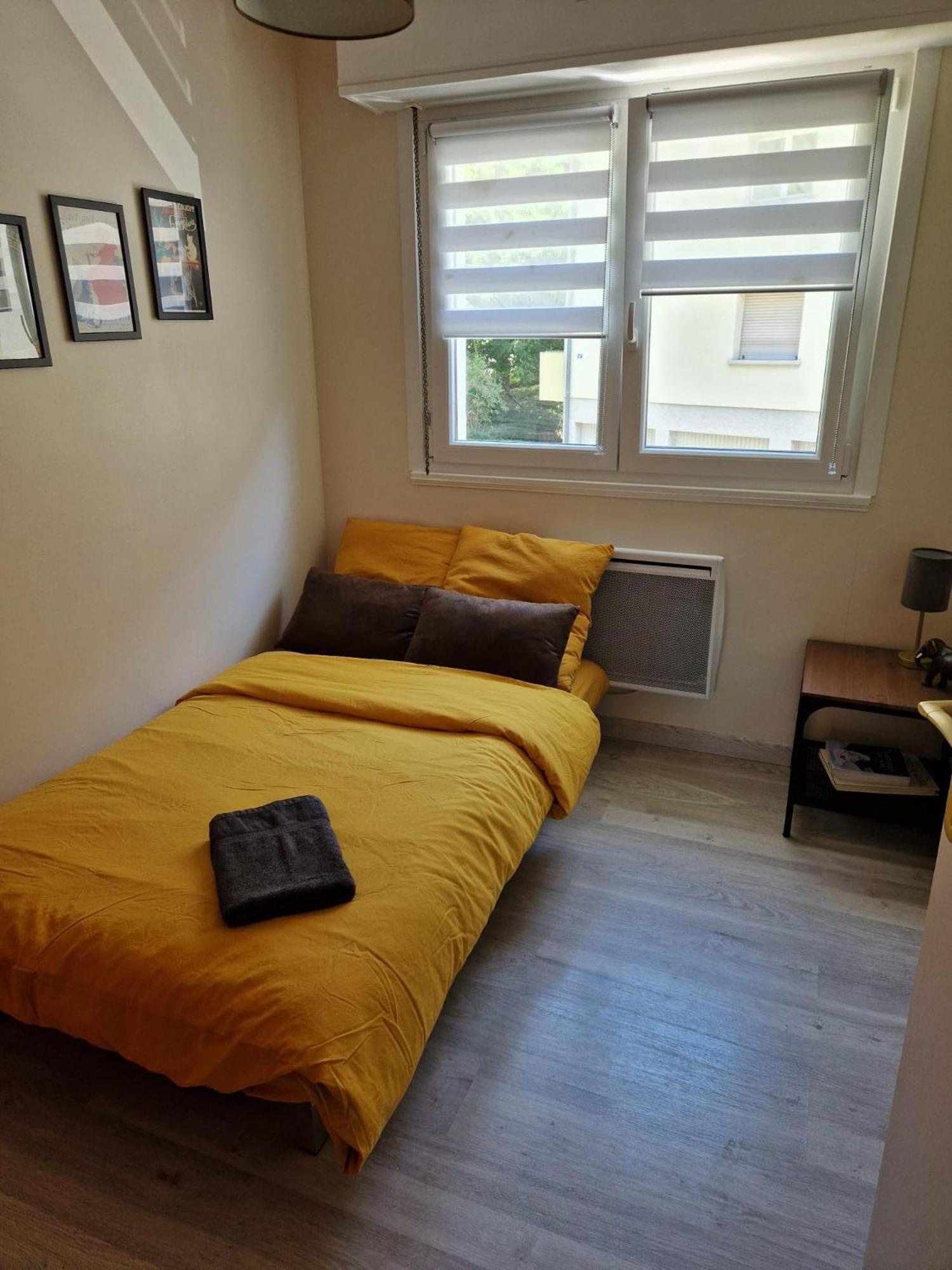 Robertsau Tres Bel Appartement Strasbourg Kültér fotó